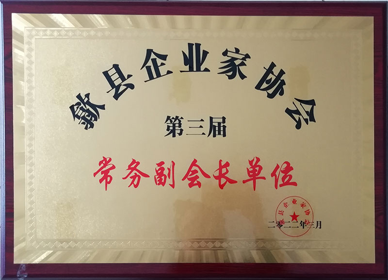 常务副会长单位
